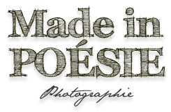 logo Made in POESIE